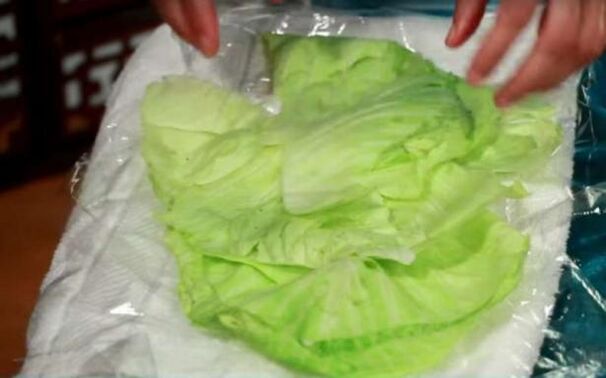 Cabbage poultice for pain caused by arthrosis of the shoulder joint